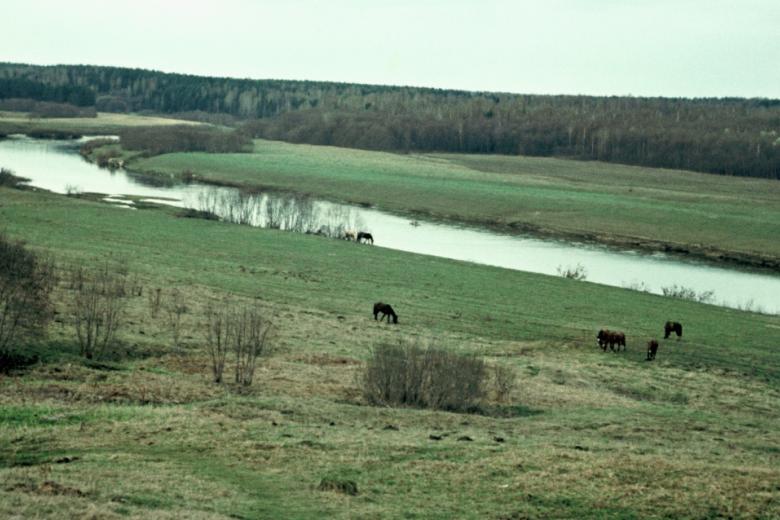 Река Угра