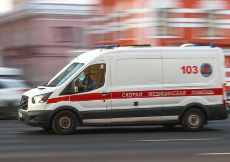 Водитель скорой спас домашнюю собаку, похищенную бродячими псами