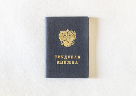 Минтруд сообщил о проблемах с введением электронных трудовых