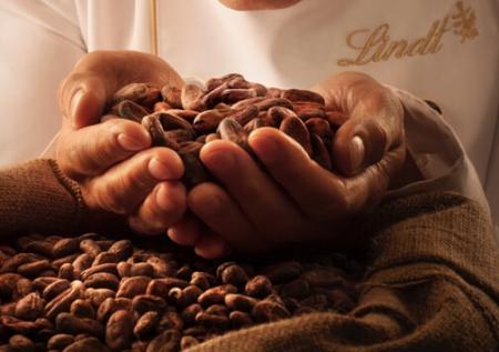 ФАС возбудила дело против «дочки» Lindt из-за неправильного шоколада