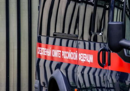 В СК раскрыли, сколько детей в России остаются ненайденными