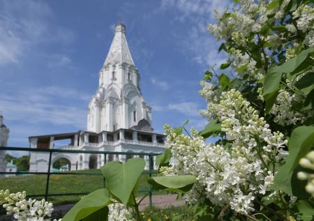Сервис аренды детских колясок заработал в парках Москвы