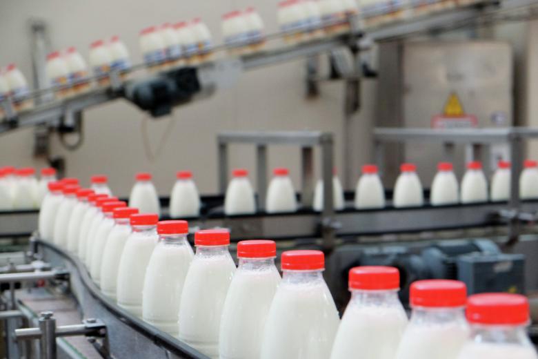 Производственная линия по упаковке молока на молочном заводе Danone в Самаре