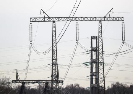 Подачу электричества восстановили в Новгородской области