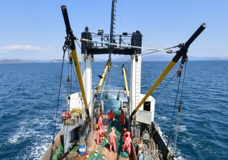 Япония отреагировала на решение России по сотрудничеству в морском промысле
