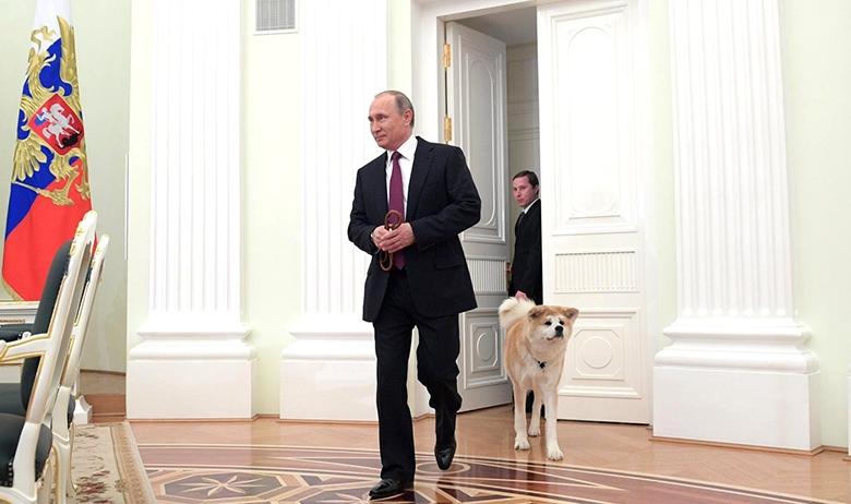 Владимир Путин