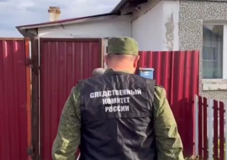 Труп найденного у дома отравившейся семьи котенка изучат