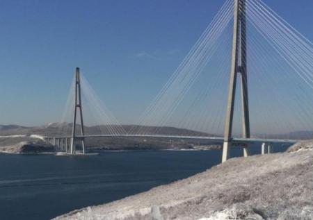 Чиновницу с острова Русский отстранили из-за бездействия при ЧС