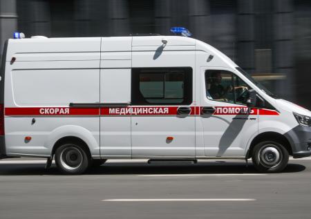 В Грозном избили журналистку Милашину и адвоката Немова