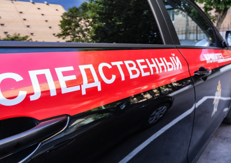 В СК назвали сроки установления причин смерти детей под Красноярском