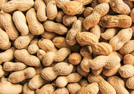Малышева рассказала, в каких продуктах содержится «аминокислота счастья»