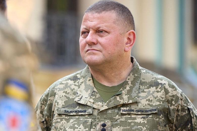 Валерий Залужный