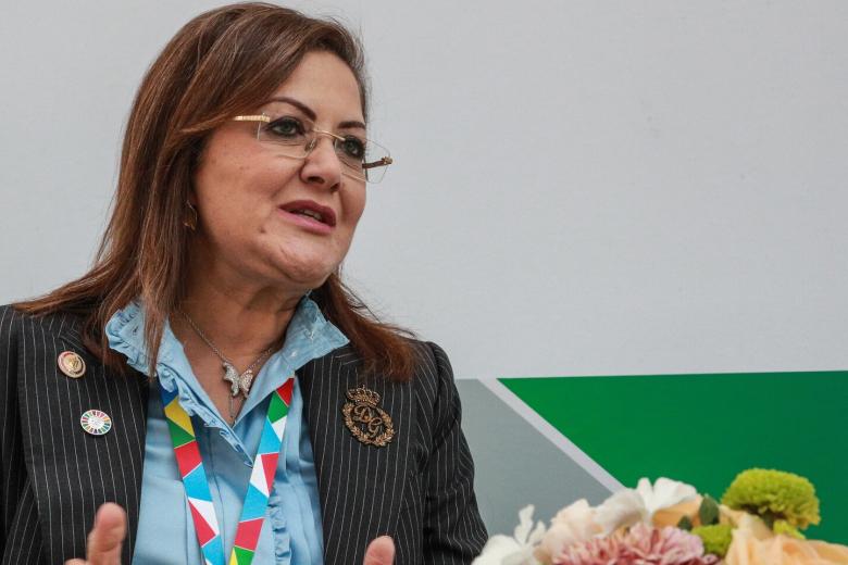 Хала Хельми Эльсаид Йонес