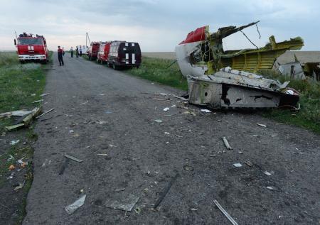 В Гааге уволили судью за заявления о непричастности России к крушению MH17