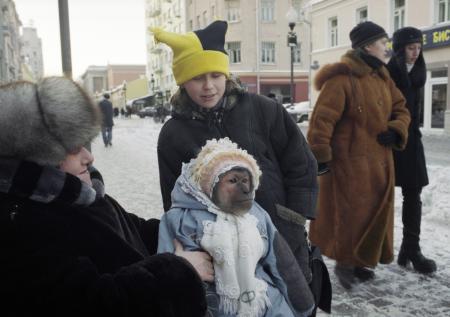 У уличных фотографов Москвы изъяли сов, приматов и питона