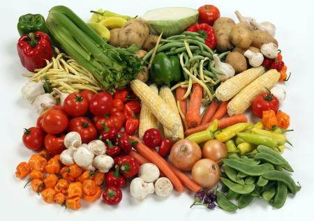 Эндокринолог назвал продукты с высоким содержанием витамина Е