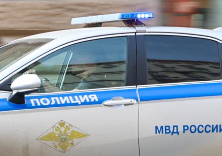 Подросток измазал фекалиями площадку у квартиры Екатерины Мизулиной