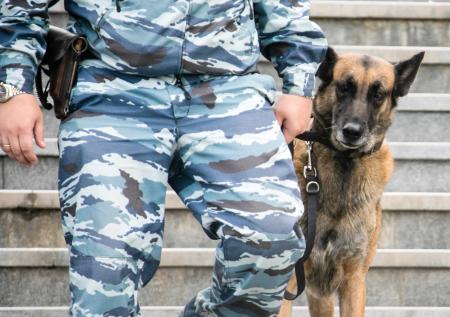 Более 300 человек эвакуировали в одном из районов Москвы из-за муляжа бомбы