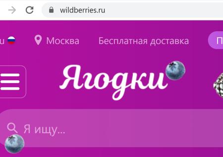 Юрист рассказал о последствиях переименования для Wildberries