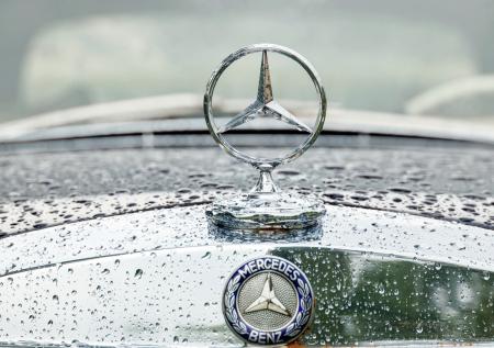 31 марта: как связаны комары, Reddit и Mercedes 