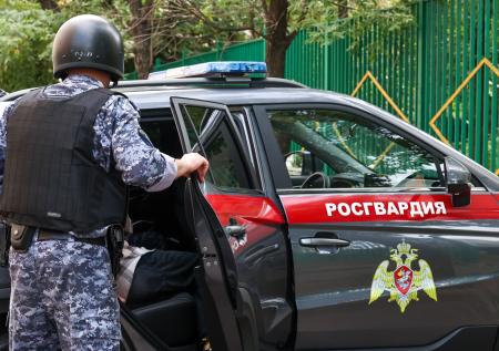 Вандал упражнялся в «метании копья» на территории колледжа в Сестрорецке