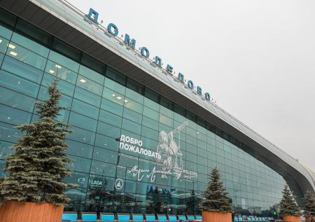 В Домодедово из-за ледяного дождя временно ограничили полёты 