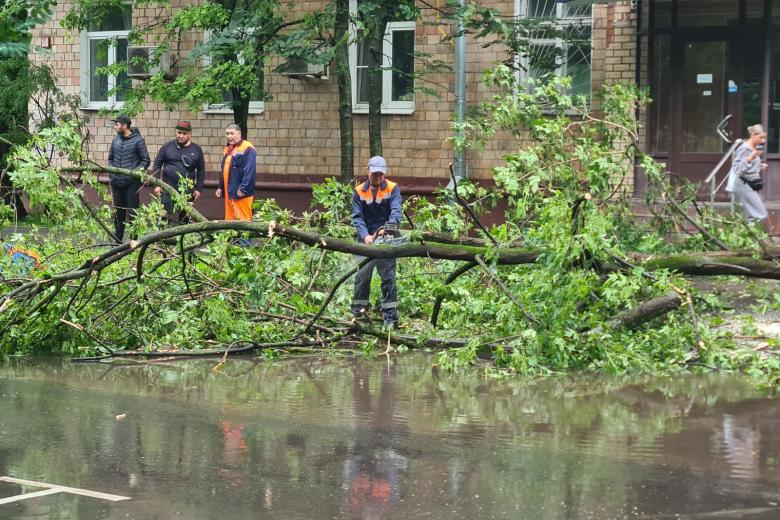 Городские службы устраняют последствия непогоды
