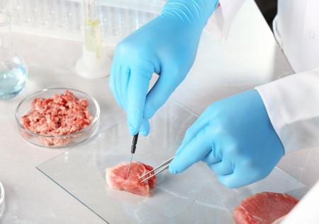 Диетолог: США слишком рано разрешили продажу искусственного мяса