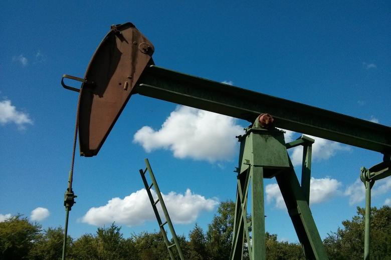 Oil