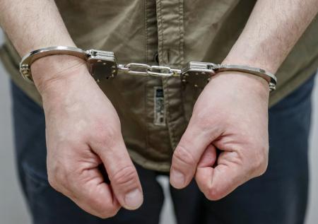Зоофил приставал к детям и попал за решетку