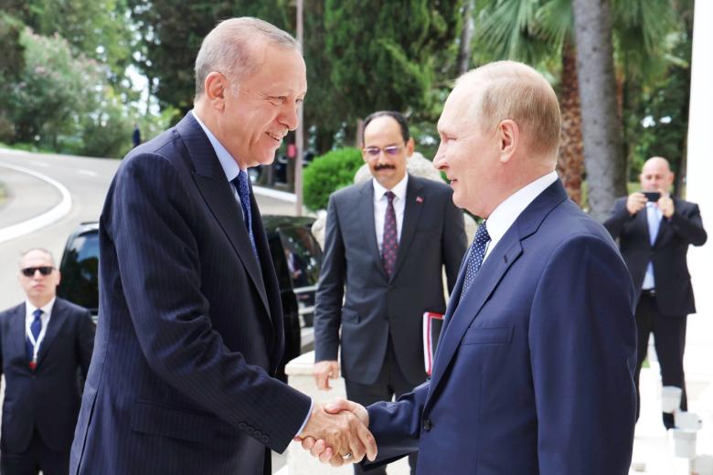Реджеп Тайип Эрдоган, Владимир Путин