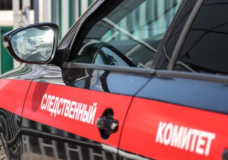 СМИ: найденная в выгребной яме 9-летняя девочка могла быть изнасилована