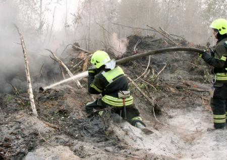 Огонь поглотил уже шесть тысяч «квадратов» в бухте Инал под Краснодаром
