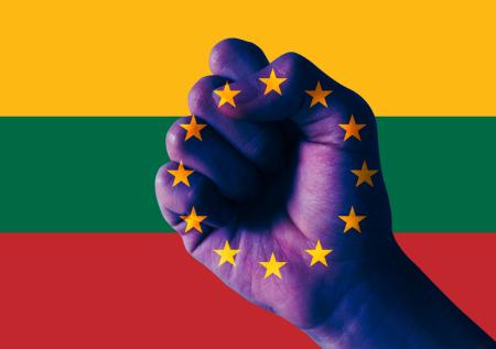 Bloomberg: ряд стран ЕС обеспокоены давлением Союза на Литву