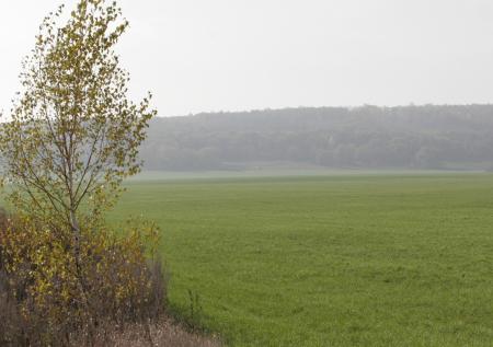 Сатановский заявил, что купленные Штатами украинские земли не остановят СВО