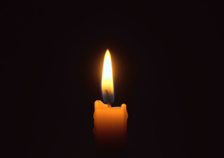 Новозеландский боец ММА скончался в новогоднюю ночь