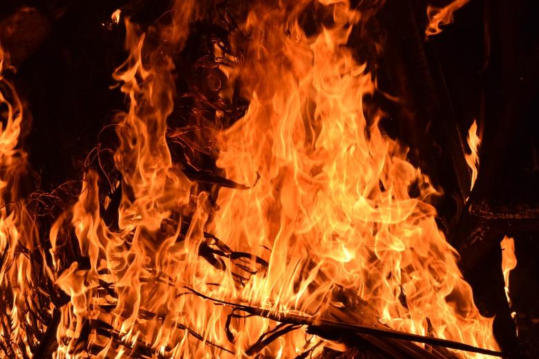 wildfire