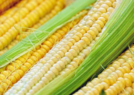 Назван продукт для улучшения кожи