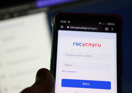 На «Госуслугах» начался прием заявок на отсрочку для айтишников