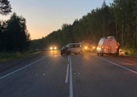 Два человека пострадали в ДТП с лосем в Псковской области