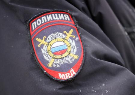 МВД разыскивает автора проекта «20 идей по развитию России»