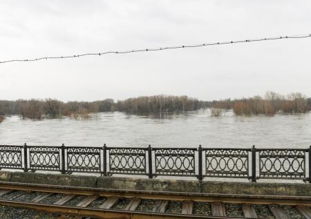 В Тюменской области зафиксировали резкое изменение уровня реки Тобол