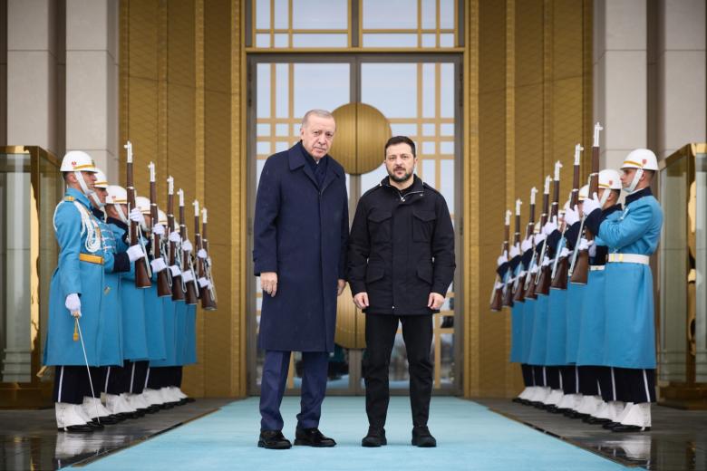 Реджеп Тайип Эрдоган и Владимир Зеленский