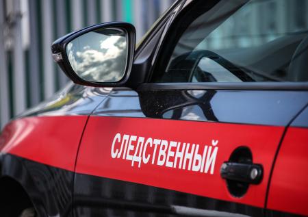 Похищенные в 2007 году дети могли находиться в рабстве у маньяка