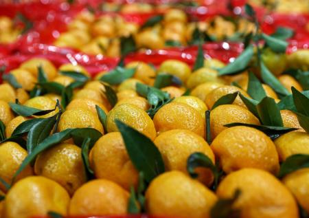 Названы продукты, из-за которых подорожал новогодний стол россиян