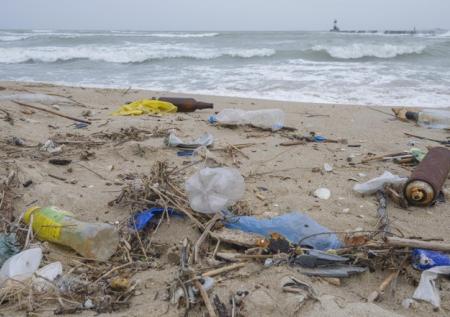 В Японии разработали пластиковые пакеты, разлагающиеся в морской воде