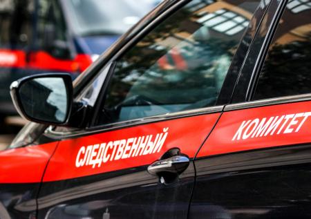 Российский интернат проверят после инцидента с избитым до смерти пациентом