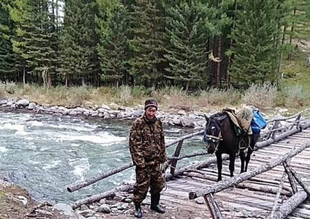 Стали известны подробности гибели алтайского чиновника и его семьи
