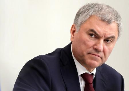 «Мы куда вообще ведем общество»: Володин оценил идею дистанционных браков