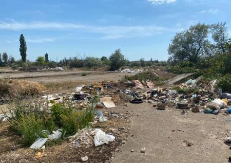 Главу мусорного оператора пообещали уволить из-за свалок в Крыму